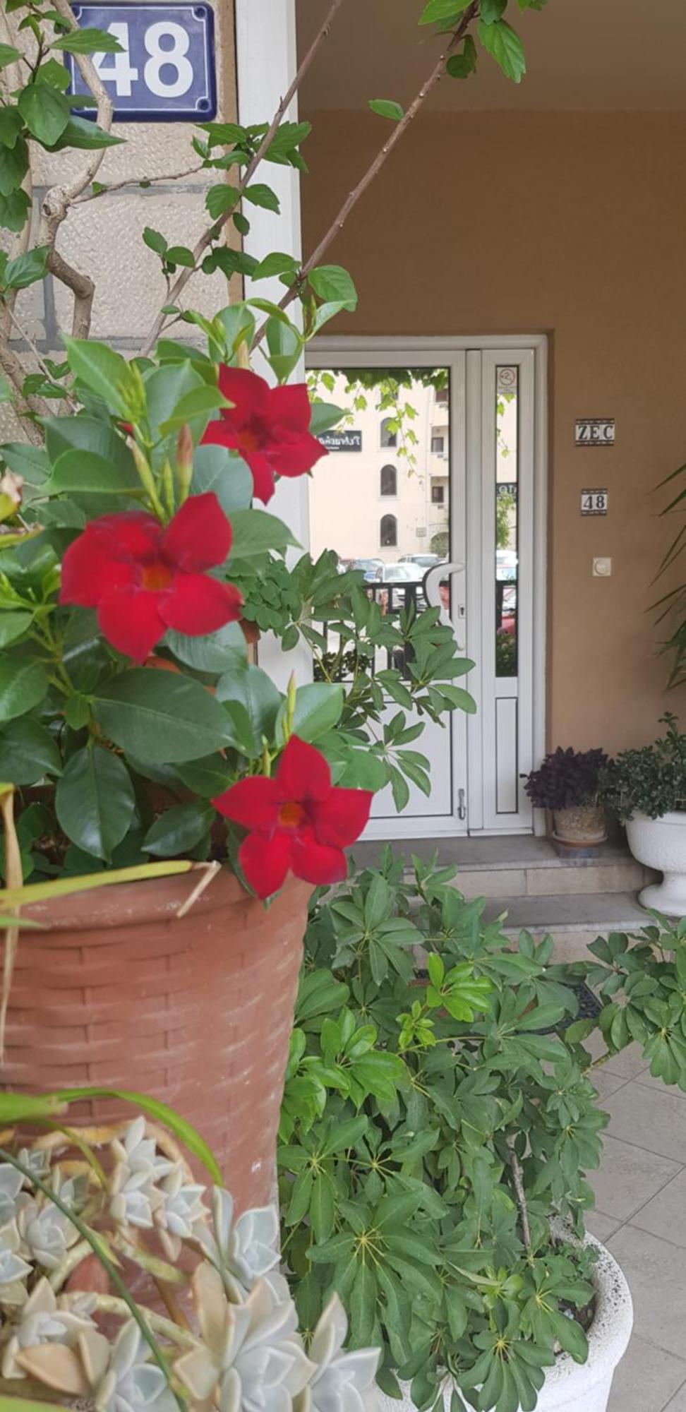 Villa Pedja Zec Exclusive 3+ Budva Kültér fotó